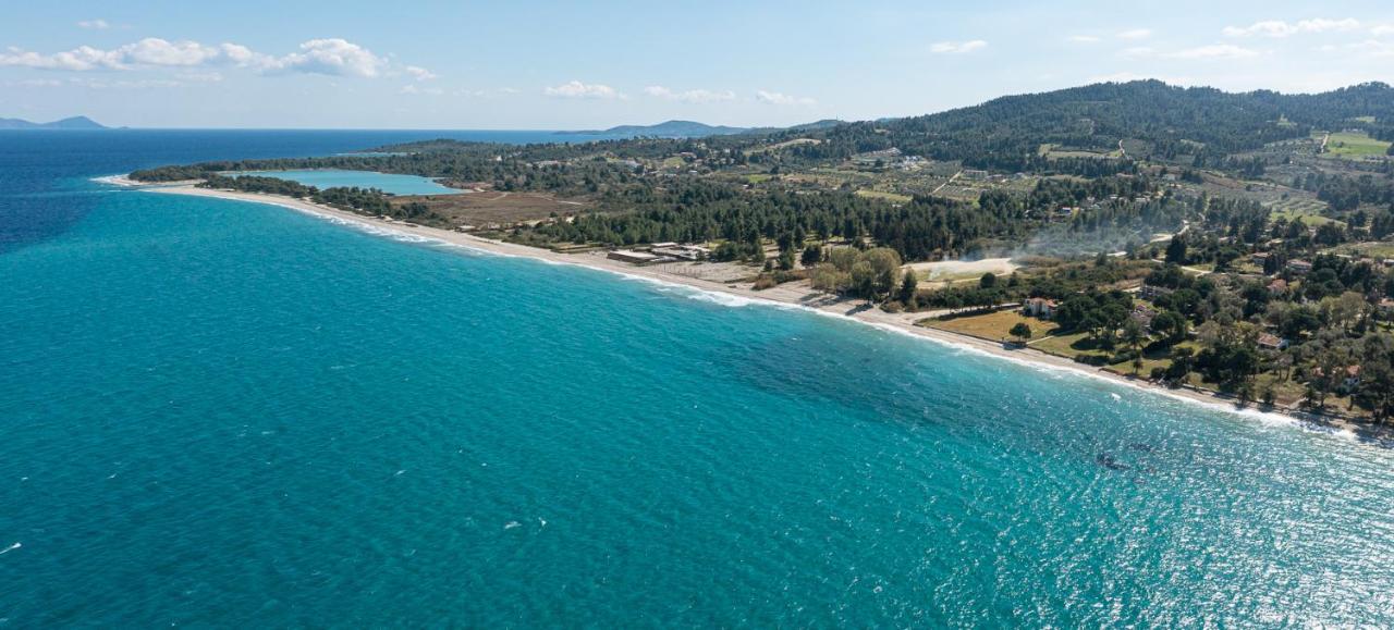 #Flh - Amalthia & Αthena Beachfront Houses In Pefkohori Dış mekan fotoğraf
